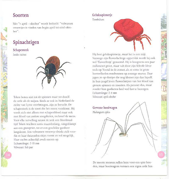 Spinnen in beeld p14-15 G