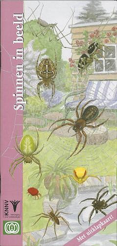 Spinnen in beeld, cover