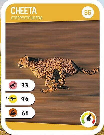 AH24-4 kaartje cheeta