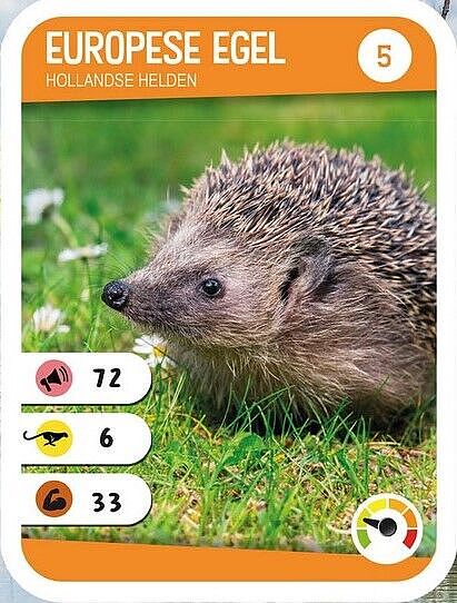 AH24-6 kaartje egel