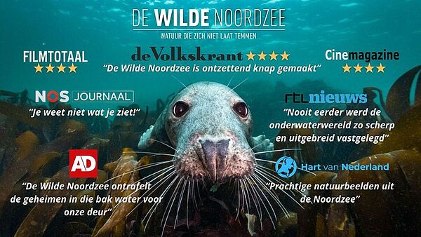 DWN publiciteit1