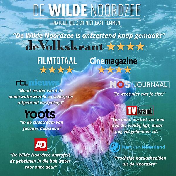 DWN publiciteit2