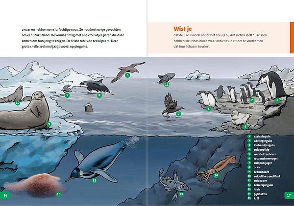 I-Antarctica 16-17