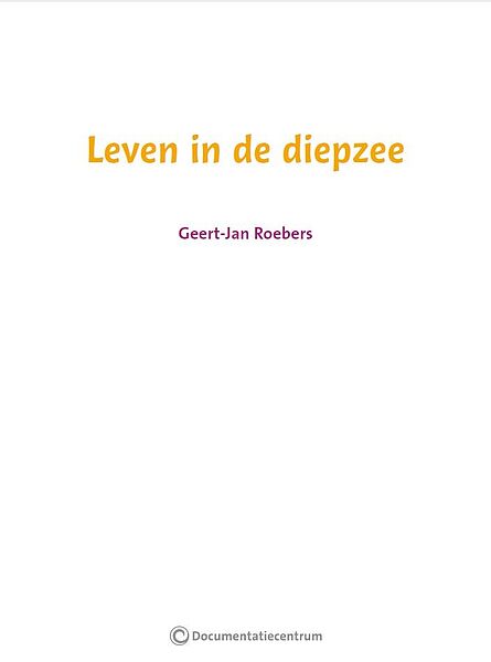 I-Diepzee 01