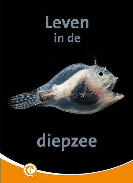 I-Diepzee cover