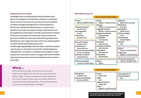 I-Katachtigen 08-09