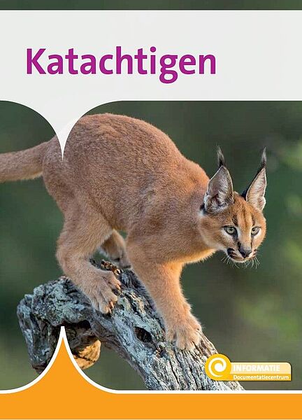 I-Katachtigen cover