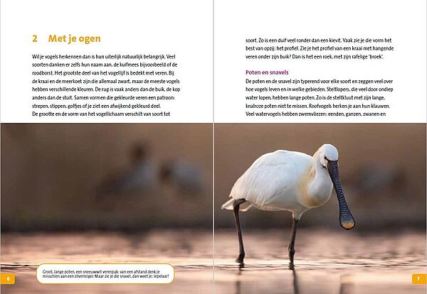 I-Vogels spotten 06-07