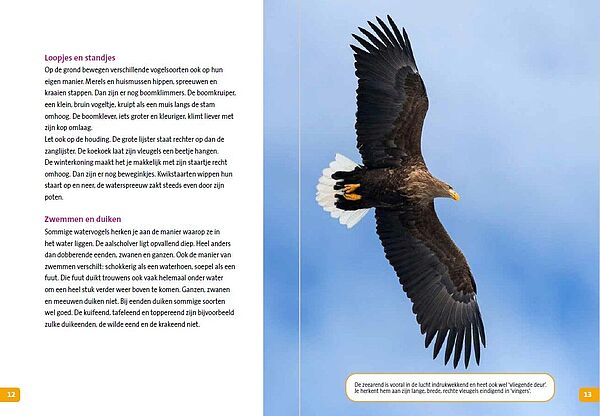I-Vogels spotten 12-13
