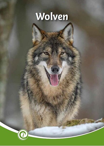 JI_Wolven cover