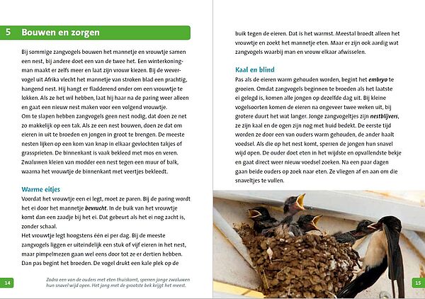 JI-zangvogels 14-15