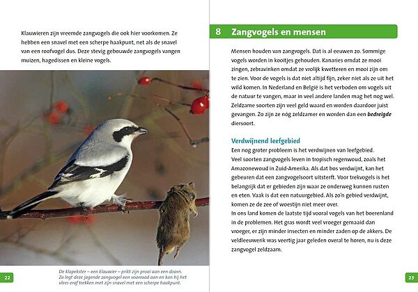 JI-zangvogels 22-23