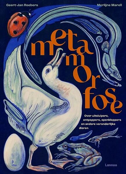 Mf cover
