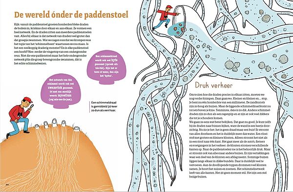 Paddo 20-21