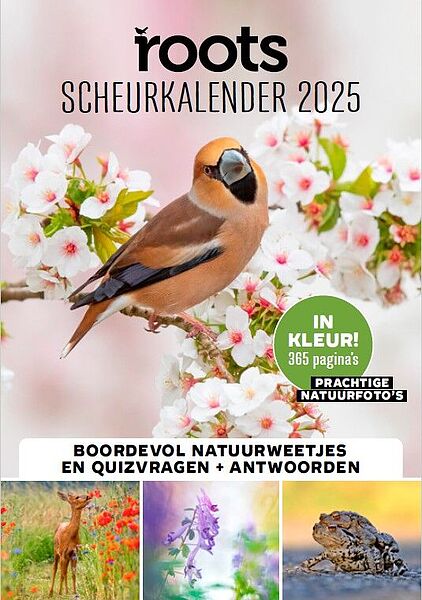 RSK25 cover 2D