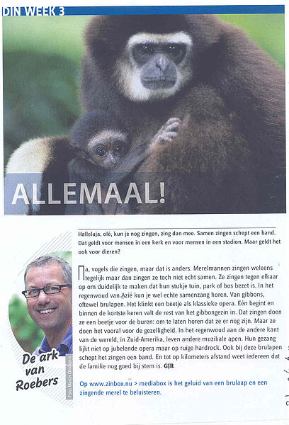 Zinbox Ark gibbon, samen