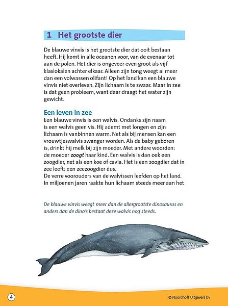 Zeezoogdieren_img4