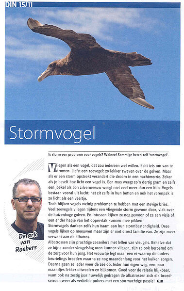 Zinbox Ark stormvogel, storm