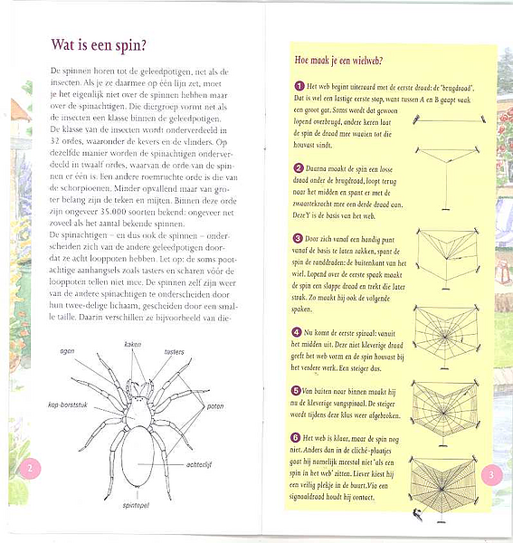 Spinnen in beeld p2-3 G