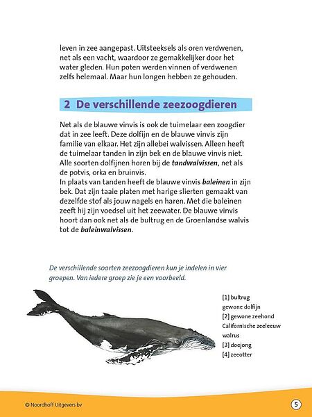 Zeezoogdieren_img5