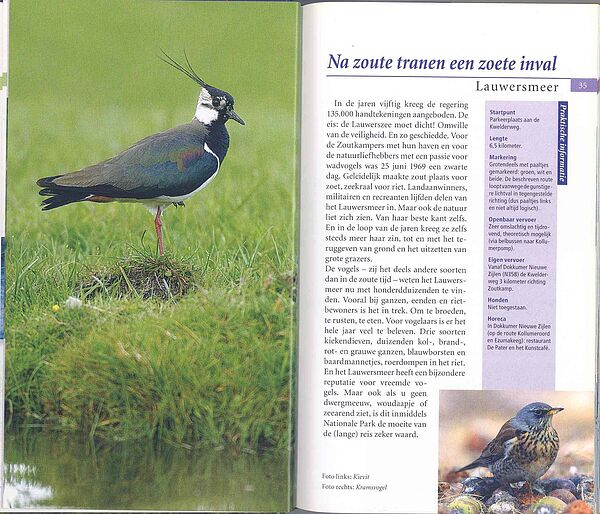 Vogels in hun landschap p34-35