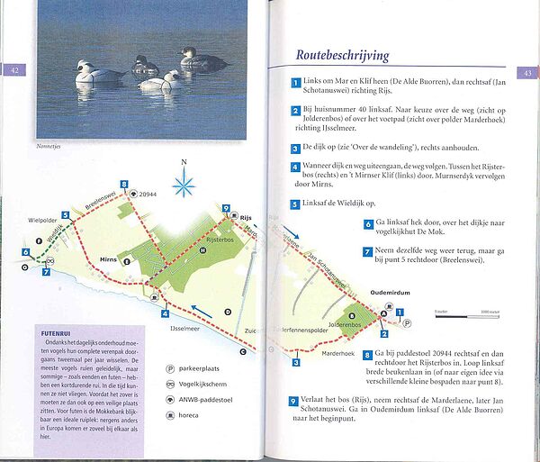 Vogels in hun landschap p42-43