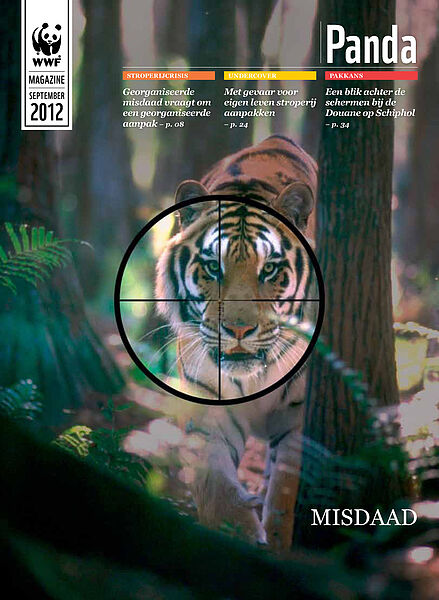 Panda 3-2012 G cover