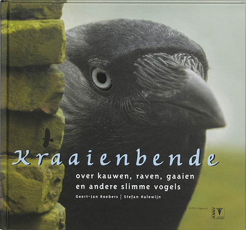 Kraaienbende, cover