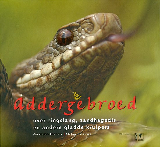 Addergebroed, cover