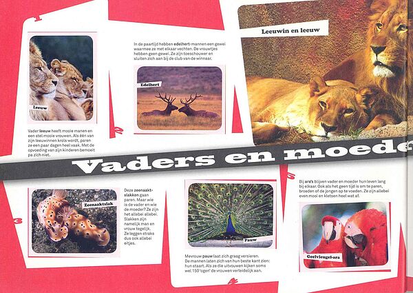 Dierenwereld2008 ouders1