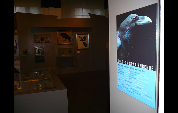 Natuurmuseum Brabant, Kraaienbende10