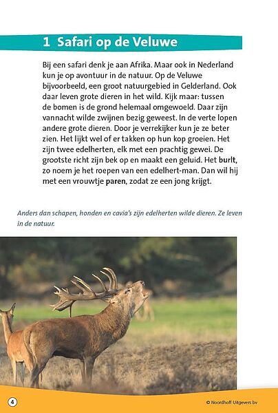 Wilde dieren in Nederland_img3