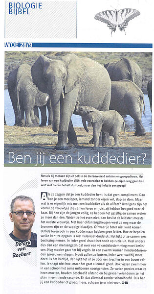 Zinbox Ark olifant, kudde