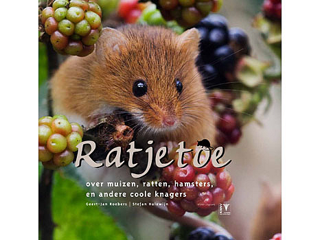 Ratjetoe, cover