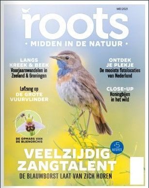 Roots mgz cover